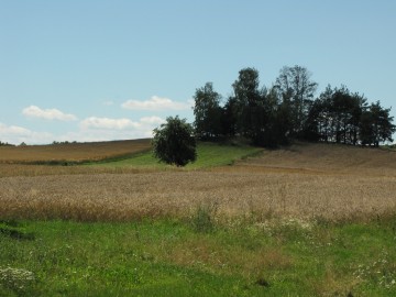 krajobraz w Dąbrówce Małej, fot. M. Majda, 